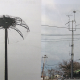 Cleveland Utilities installs LEC Lightning Protection Systems